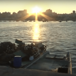 Puerto de Gaza