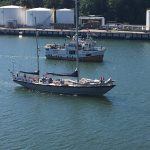 IMG_5334